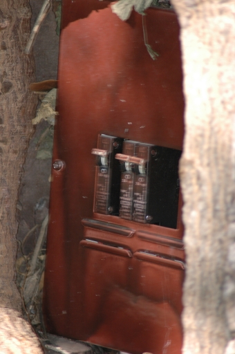 Circuit box in a tree at camp 